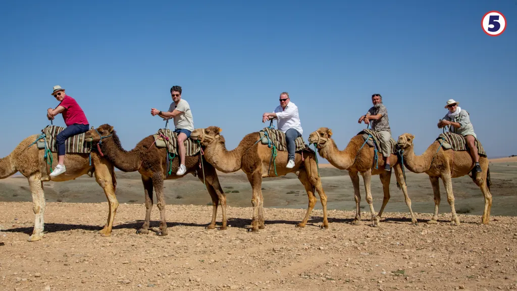 Bättre sent än aldrig