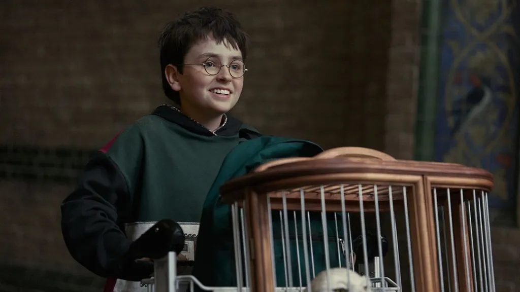 Harry Potter.jpg