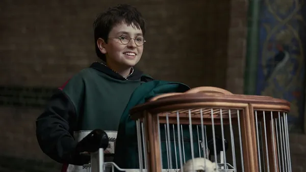 Harry Potter.jpg