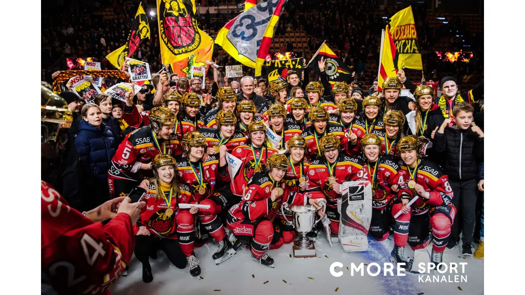 Pressbild_SDHL