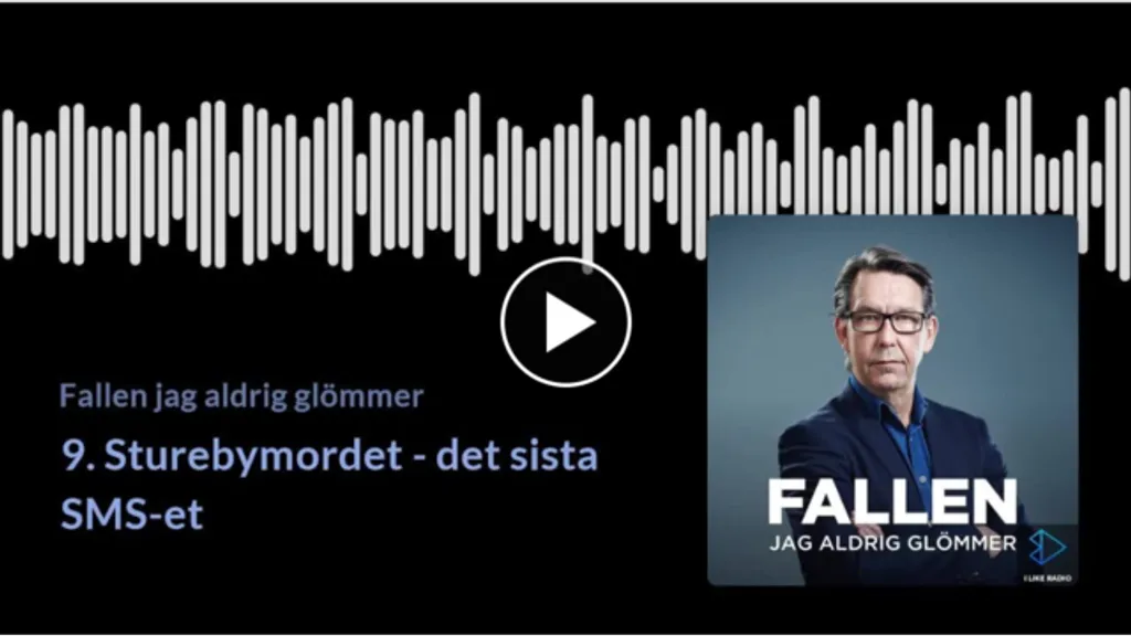 FallenJagAldrigGlömmer.png