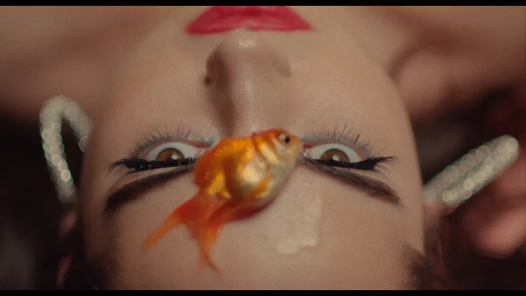TranskoderStill_delete_me_s2_einarfilm_n1708_221006_230317_163741.png