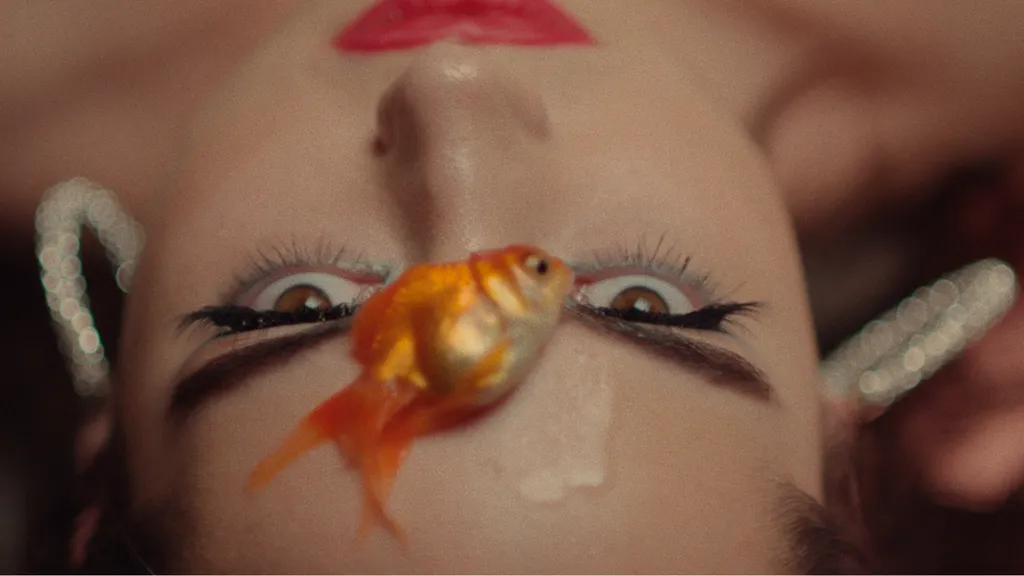 TranskoderStill_delete_me_s2_einarfilm_n1708_221006_230317_163741.png
