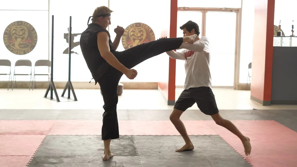 cobra-kai-7_6807a7cea631e.jpeg