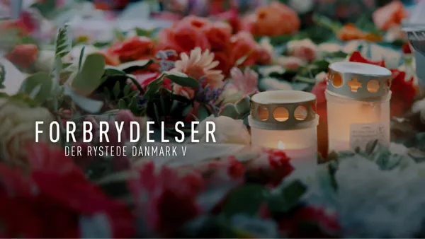 Forbrydelser der rystede Danmark