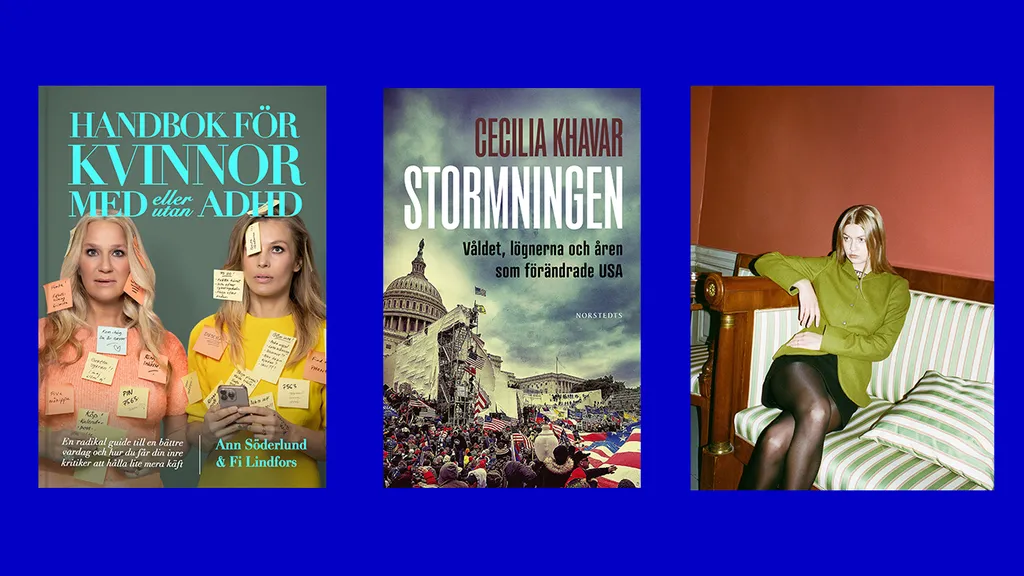 Fakta pm sommar 24 1.png