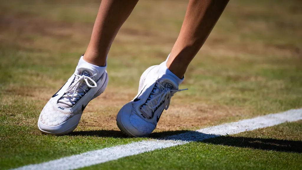 Mehr als 75 Stunden Rasentennis live bei Eurosport, HBO Max und discovery+ (c) Getty Images