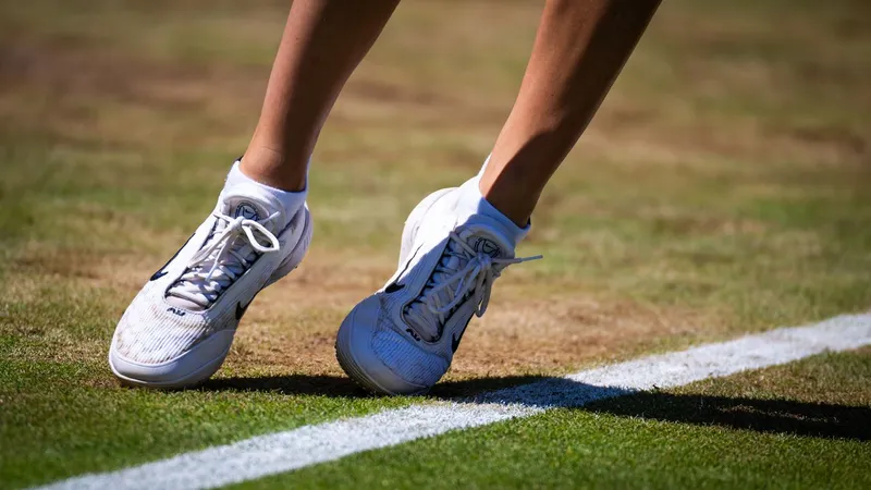 Mehr als 75 Stunden Rasentennis live bei Eurosport, HBO Max und discovery+ (c) Getty Images