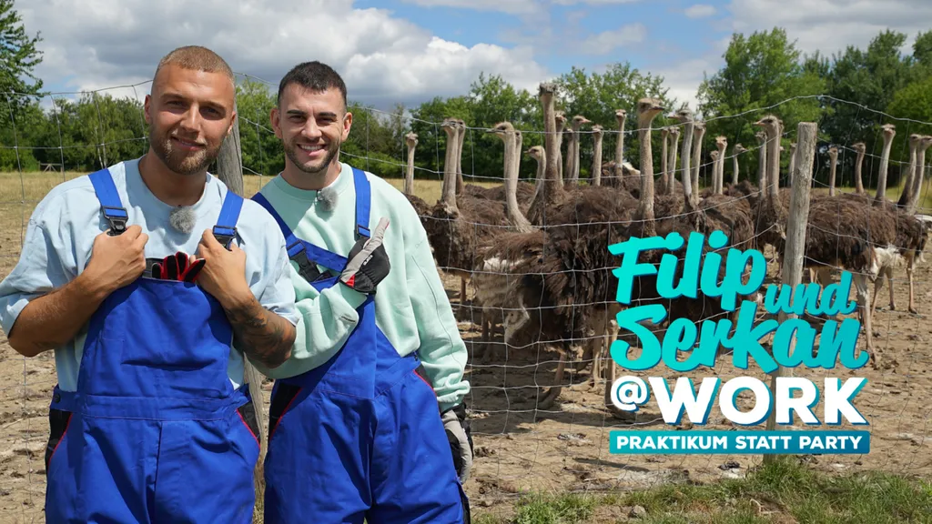 Filip&Serkan@Work_Logo.jpg