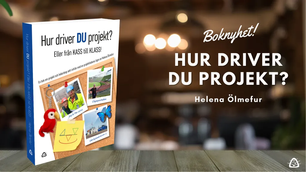 Hur driver du projekt? Posterbild Siljans Måsar