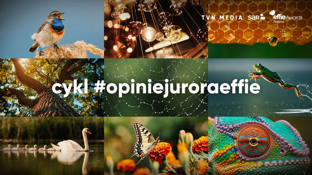 Cykl #opiniejuroraeffie – dziesiąta, jubileuszowa edycja wspólnego projektu SAR i TVN Media