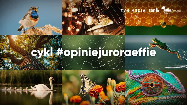 Cykl #opiniejuroraeffie – dziesiąta, jubileuszowa edycja wspólnego projektu SAR i TVN Media