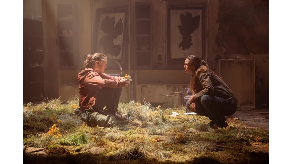 The Last of Us