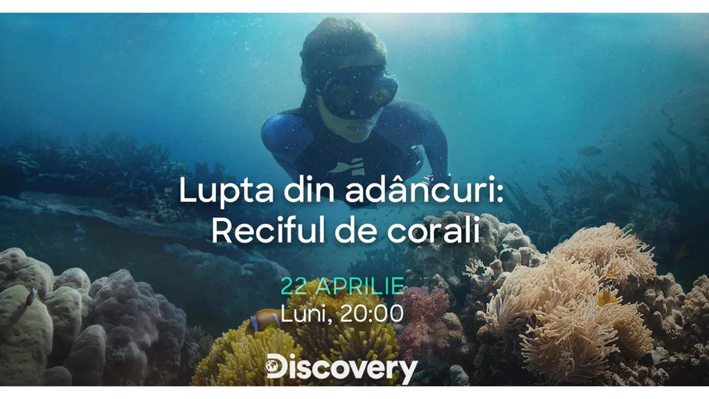 Lupta din adâncuri: Reciful de corali