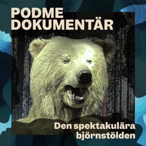 Den spektakulära björnstölden
