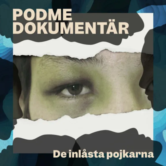 De inlåsta pojkarna
