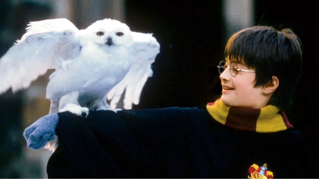 Navidades en Warner TV - Harry Potter saga