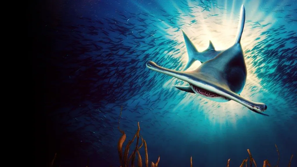 13232098_Shark-Week-2023-Monster-Hammerheads-Killer-Instinct-V1-Textless_3840x2160.jpg