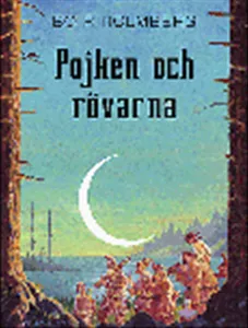 Pojken och rövarna