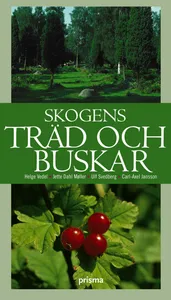 Skogens  träd och buskar