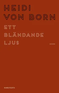 Ett bländande ljus