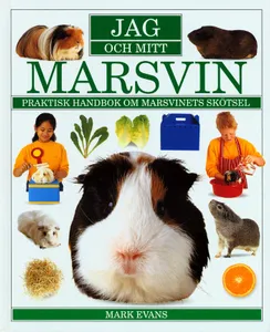Jag och mitt marsvin