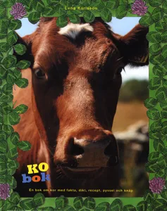 Kobok