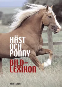 Häst och ponny