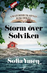 Storm över Solviken