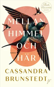 Mellan himmel och här