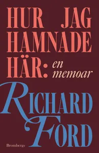 Hur jag hamnade här