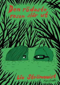 Den rödaste rosen slår ut